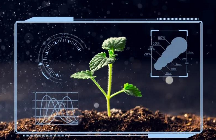 農業物聯網 農業物聯網