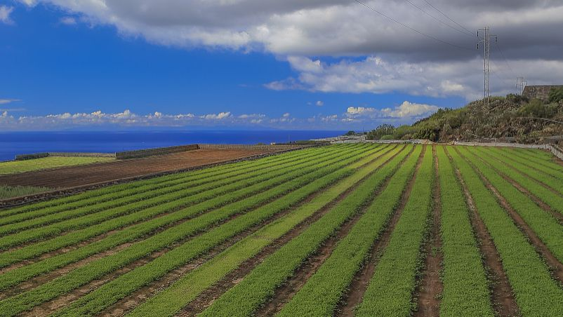 5g/4g工業路由網關 5g/4g工業路由網關