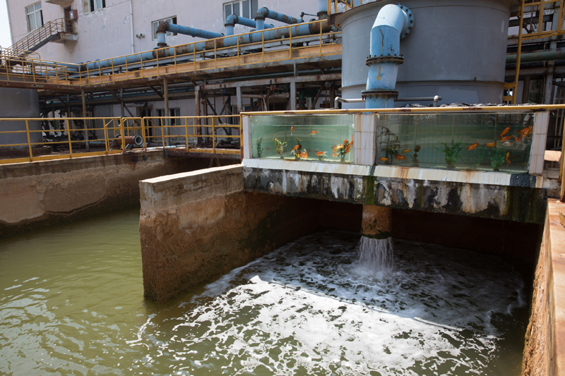 5g/4g工業路由網關