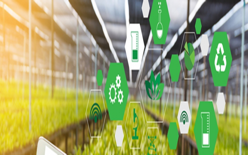 基于LoRa網(wǎng)關(guān)在智慧農(nóng)業(yè)的應(yīng)用