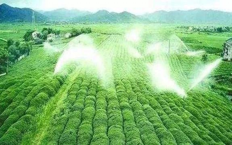 智慧農業讓彭東農業大棚種植提質增效