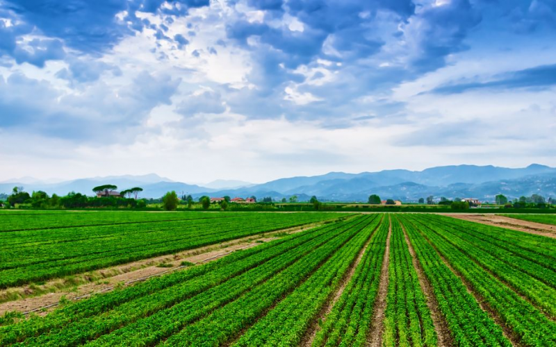 智慧農業物聯網有利于農業高質量發展