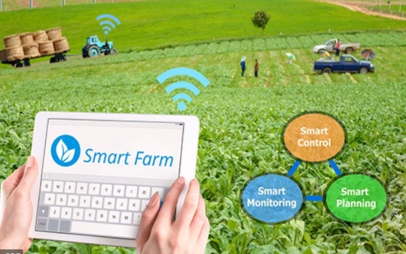 物聯網在農業中的應用 (智慧農業應用)